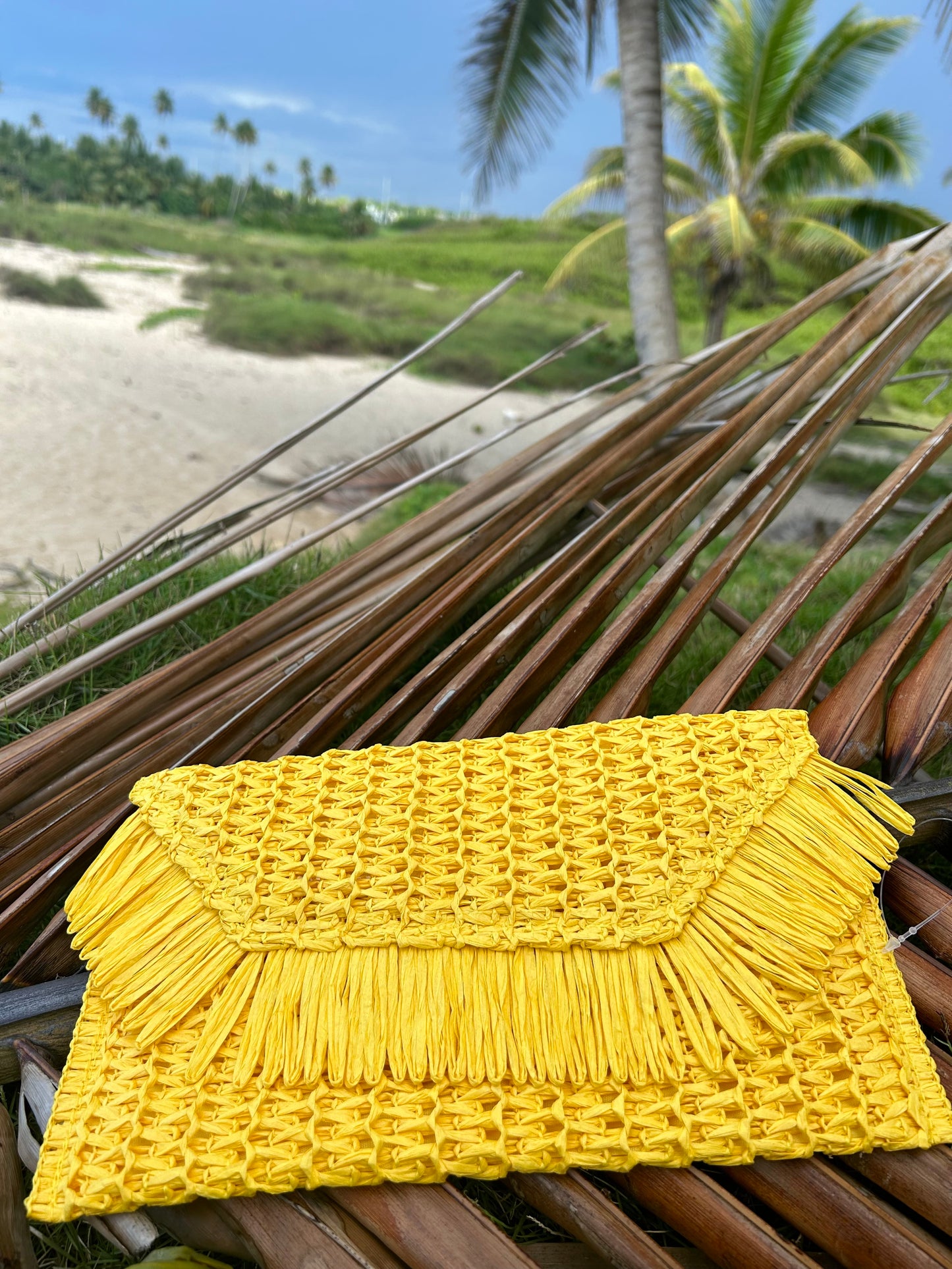 Bolsos de mano.π