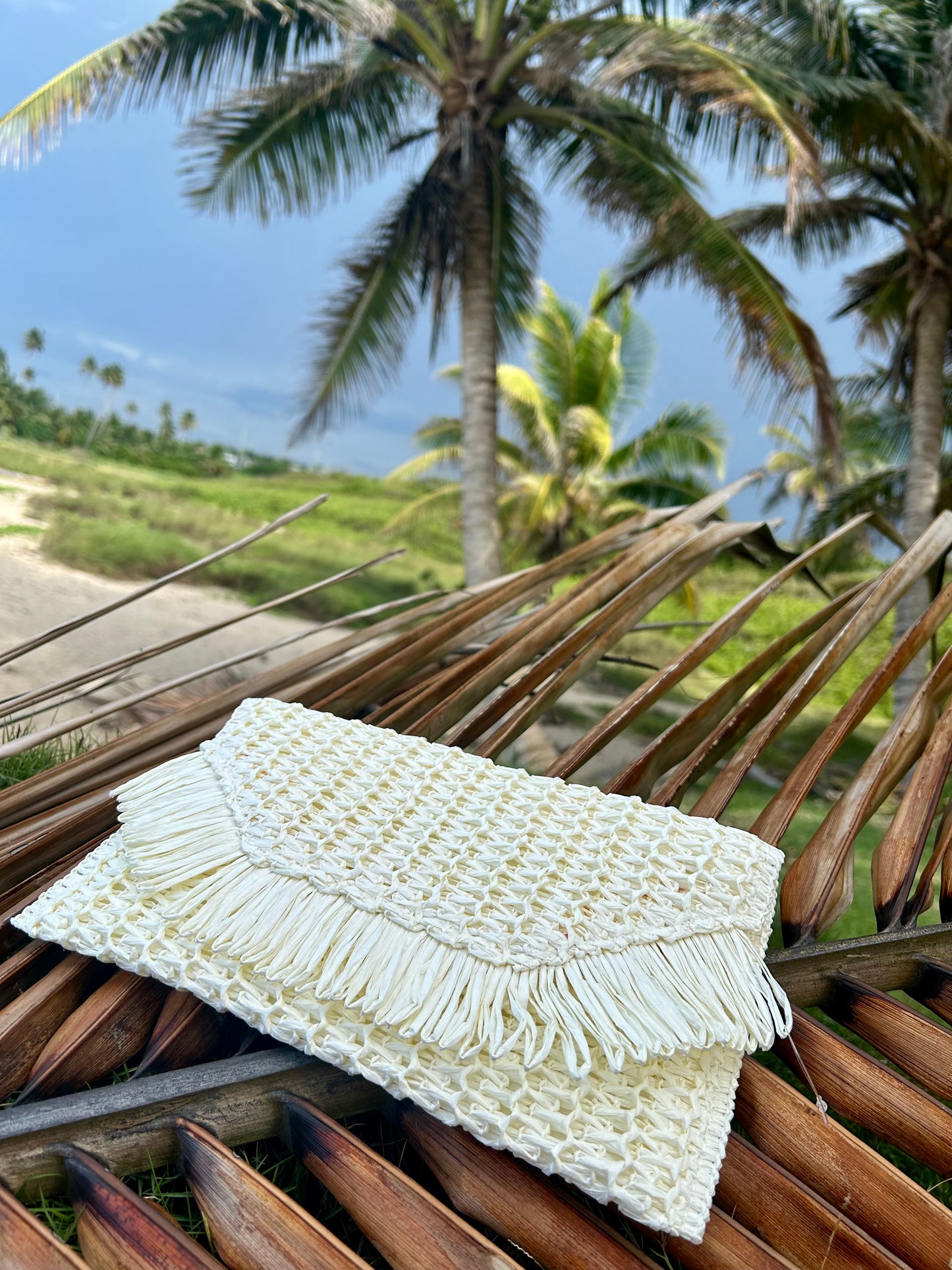 Bolsos de mano.π