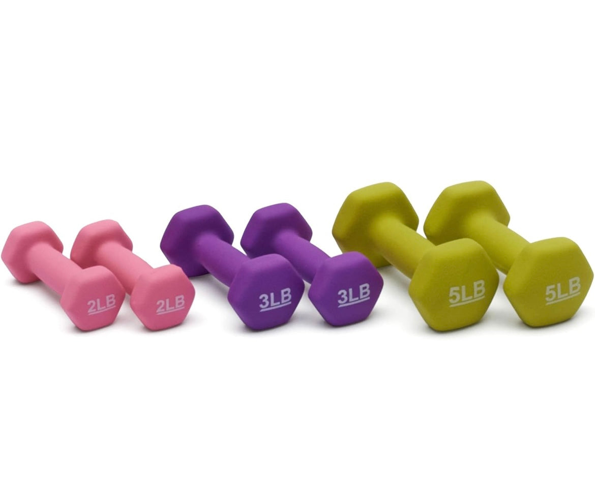 Set 6 dumbbells + estante